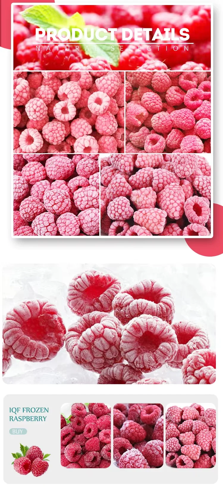 IQF Frozen Raspberry Whole Crumble 100% Natural Sweet Tasting Berries Bulk Carton Wholesale Supply factory