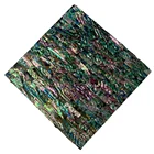 Abalone HCX035 Aqua Green Abalone New Zealand Abalone Furniture Shell Paper Sheet