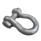 Drop Steel Shackle Hot Dip Galvanized Drop Forged Steel Crane D Shape Shackle With Screw Pin