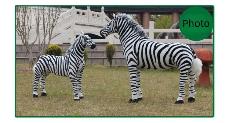 WH1056 zebra (11)