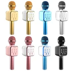 Wholesale Sales Wireless Microphone Speaker Karaoke Microphone Support USB TF Card FM With Led Light BT Speaker