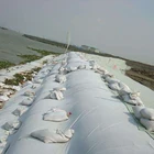 Shrimp Lobster Pond Liner Fish And Shrimp Pond Liner Farming Lobster Sale