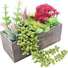 Boxes Wood Wooden Boxes For Plants Home Rustic Decraotive Rectangular Succulent Potted Wooden Boxes For Plants