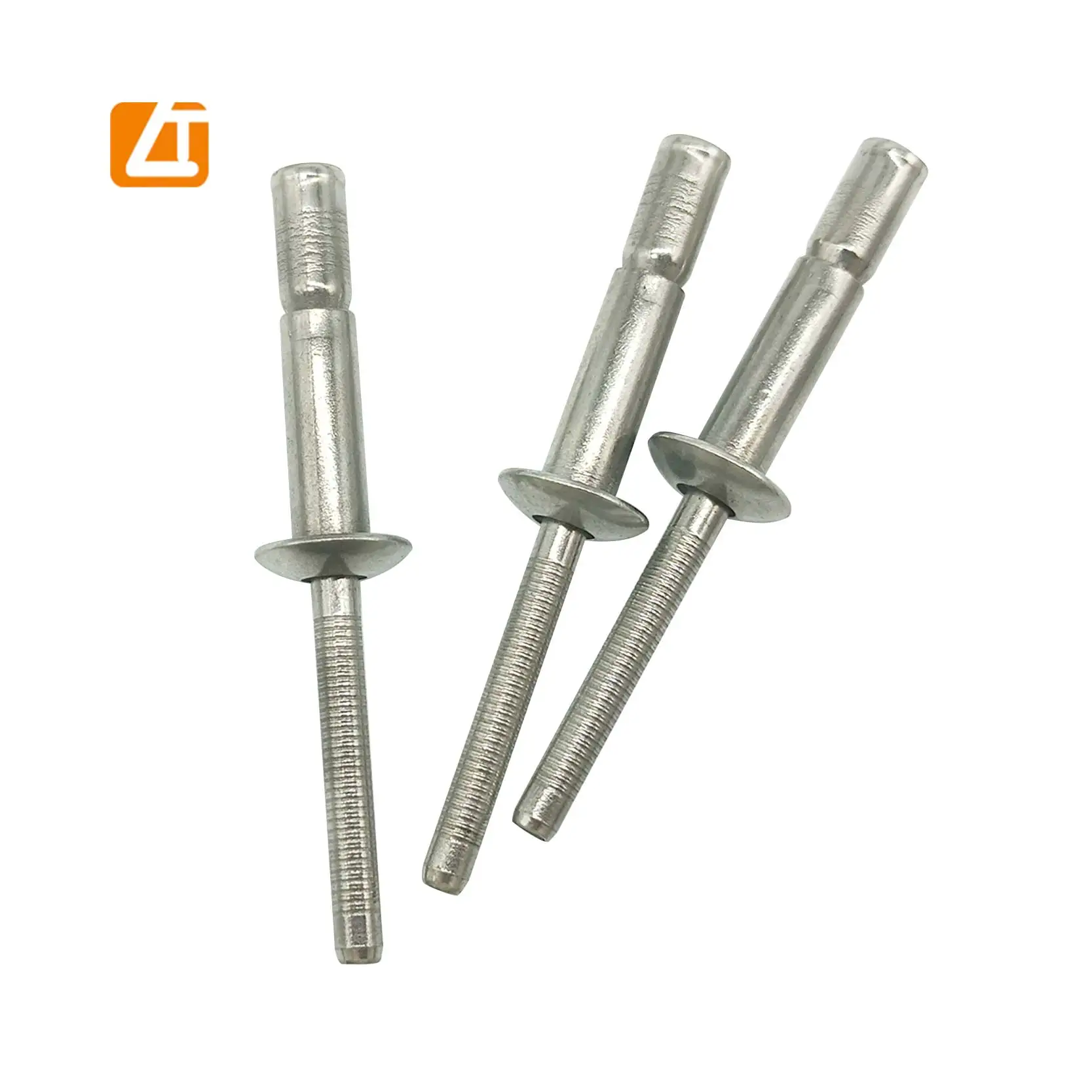 Din7337 Customized Fasteners Blind Rivet Pop Rivet Structural Stainless