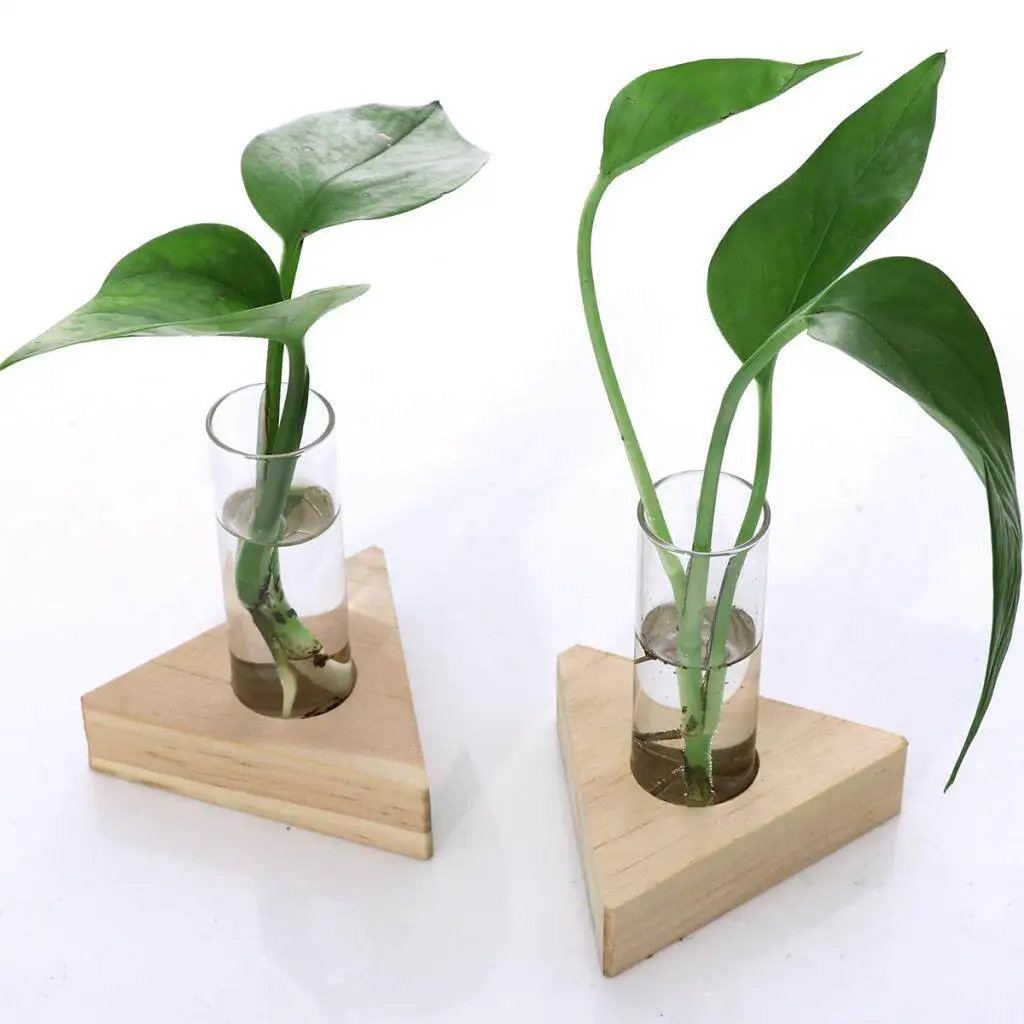 Hydrophilic Plants Stand Tabletop Water Planting Propagation Stations