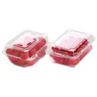 Bowl New Salad Vegetable Fresh Fruit Cut Disposable Transparent Pack Tray PET Box Plastic Salad Bowl With Lid
