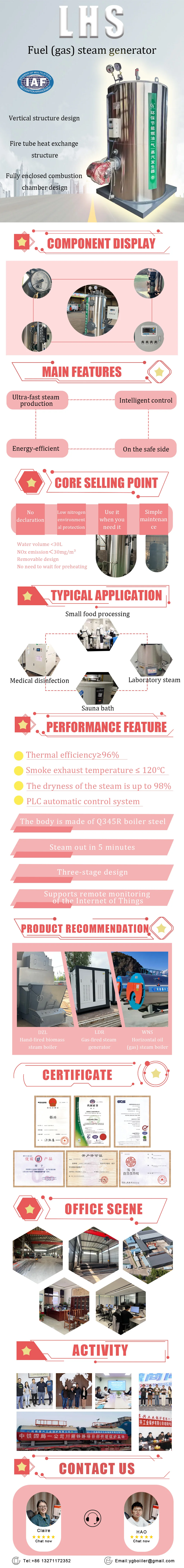 Steam Generator, LHG, 500 - detail 4