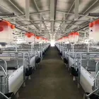 Pig Farm High Quality Sow Farrowing Cage Cages For Sow