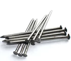 Professional Common Nail Common Nails Professional Building Common Nail Wire Nail