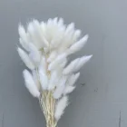 Wedding Decoration 2020 Most Popular Natural Dried Flowers Dried Wedding Decoration Rabbit Tails Grass