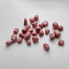 Rough Factory Direct Sale Of Pink Crushed Stone For Decoration Natural Beads Floral Rhodochrosite Rough