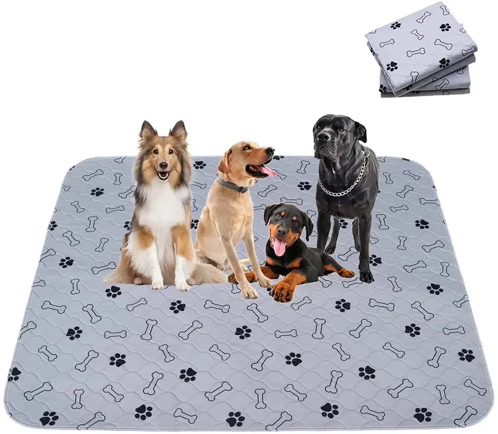 chewy potty pads