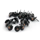 Nail Various Diameter Anti Bronze Decorative Iron Sofa Tack Nail For Furniture