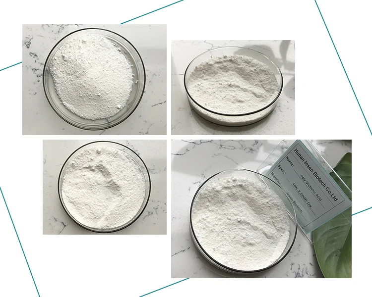 Hot Sell y-Polyglutamic Acid Cosmetic Grade