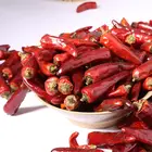 Chili Chilli Chili Organic Red Pepper Chili International Price Chilli Dried