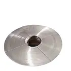Strip Professional Manufacturing Cheap Wholesale High Quality Spring Stainless Steel Strip