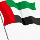 China China To Dubai Shipping Professional China Pd Express Shipping Goods To Dubai/uae/ae/the United Arab Emirates