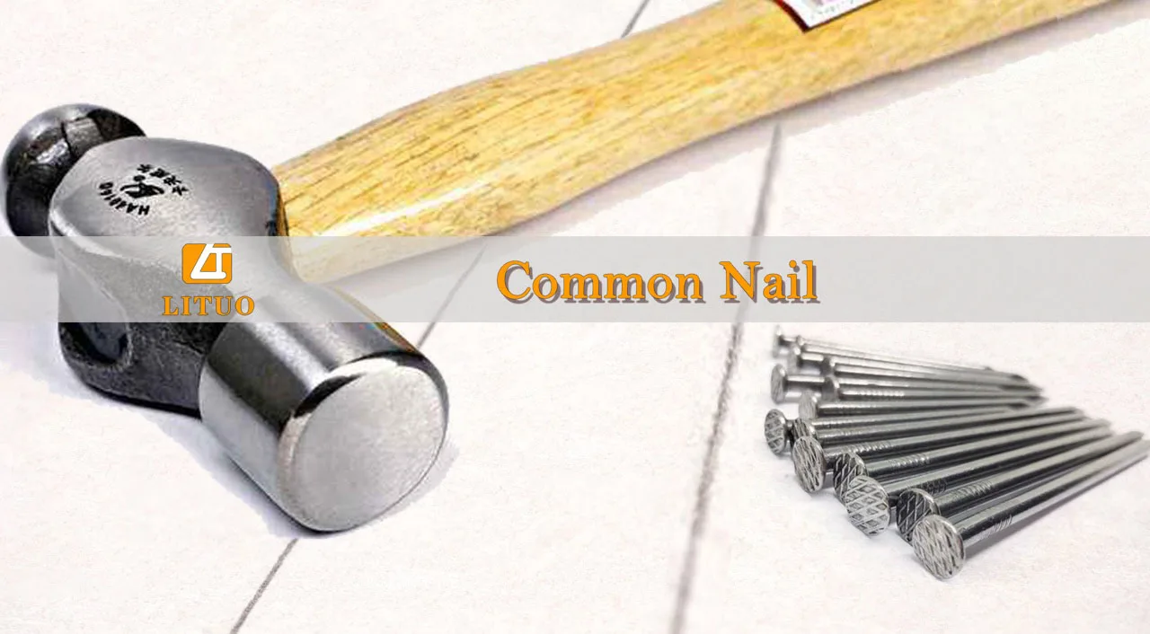 common nail.jpg