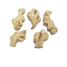 Best Quality Dry Dried Ginger Powder/ Dry Ginger Whole