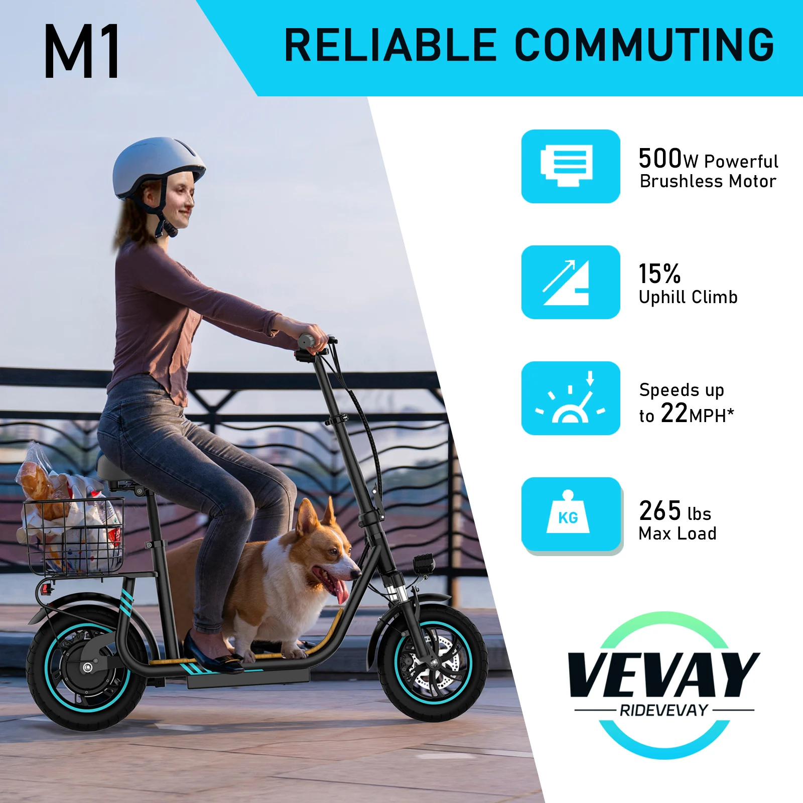 electric scooter M1 (1).jpg