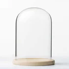 Glass Clear Glass Cloche Dome With White Wooden Base For Flower Display