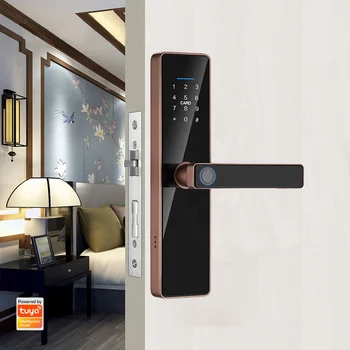 Pulido Fingerprint Keyless Smart Door Handle Lock With Management Software System For Door Lock Source Factory