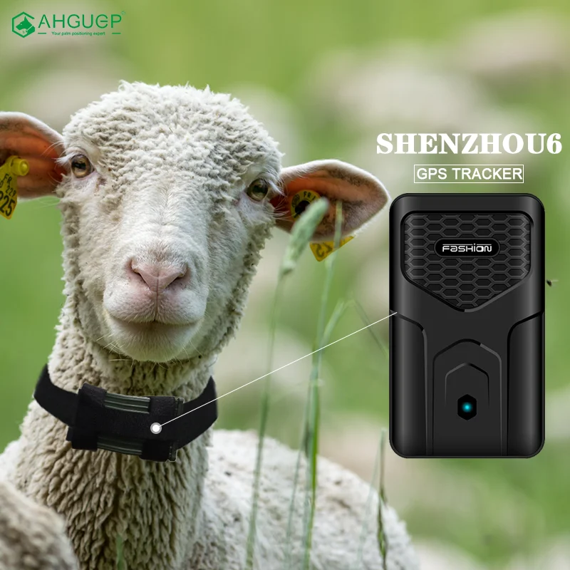 animal gps tracking chips