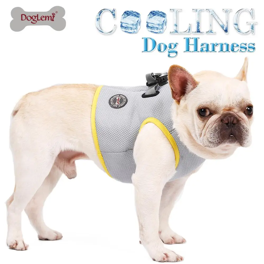 doglemi harness
