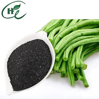 "HuminRich" Seaweed Fertilizer With High Organic Matter To Fertilizer Foliar Dried Marine Algae Extract
