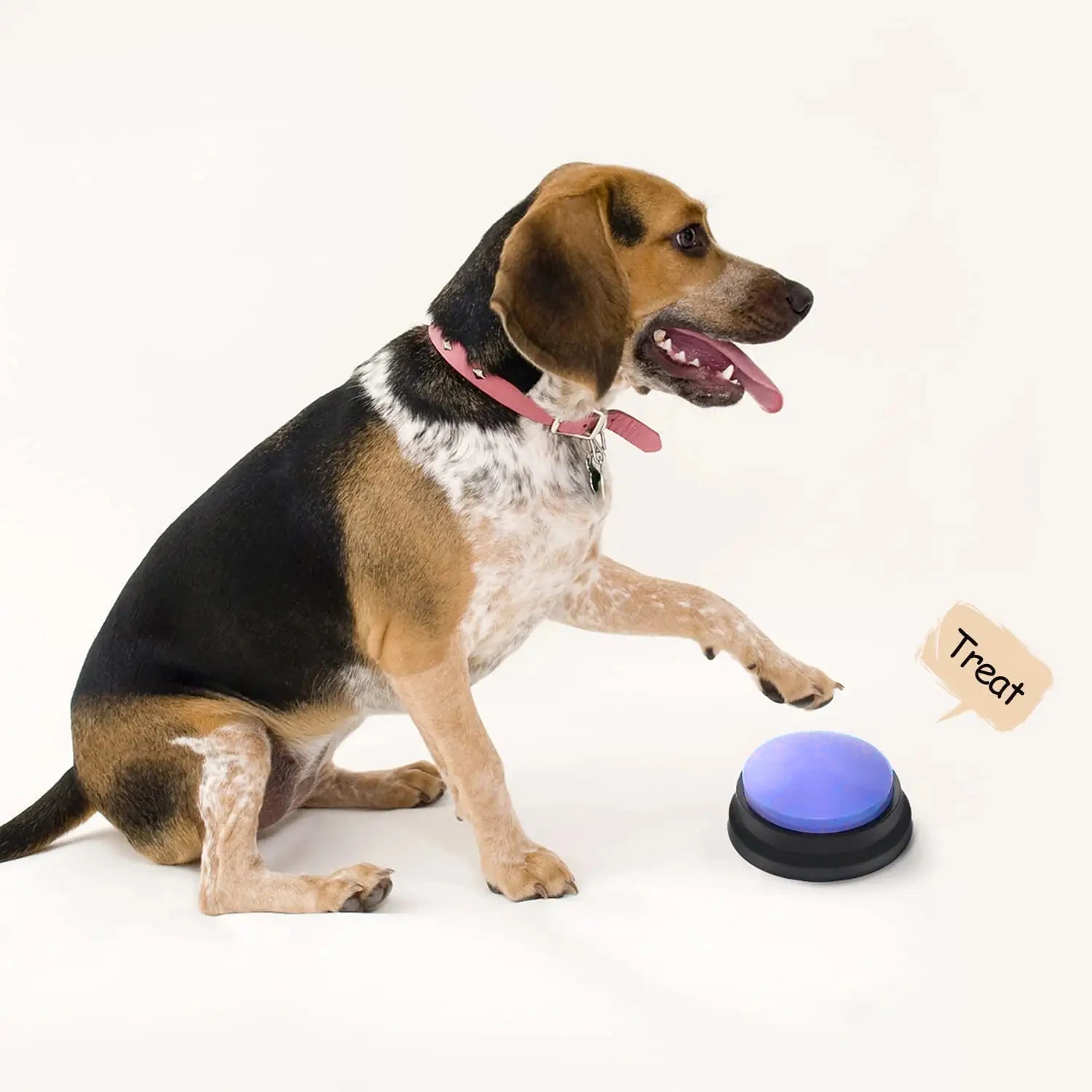 Recordable Pet Toys with Voice Button Recorder Effective Communication Tool for Dog Training