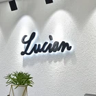 Signage For Creative Back Lit Acrylic Signage Letter Customized Matt Dull Polish Led Lighting Sign For Brand Logo