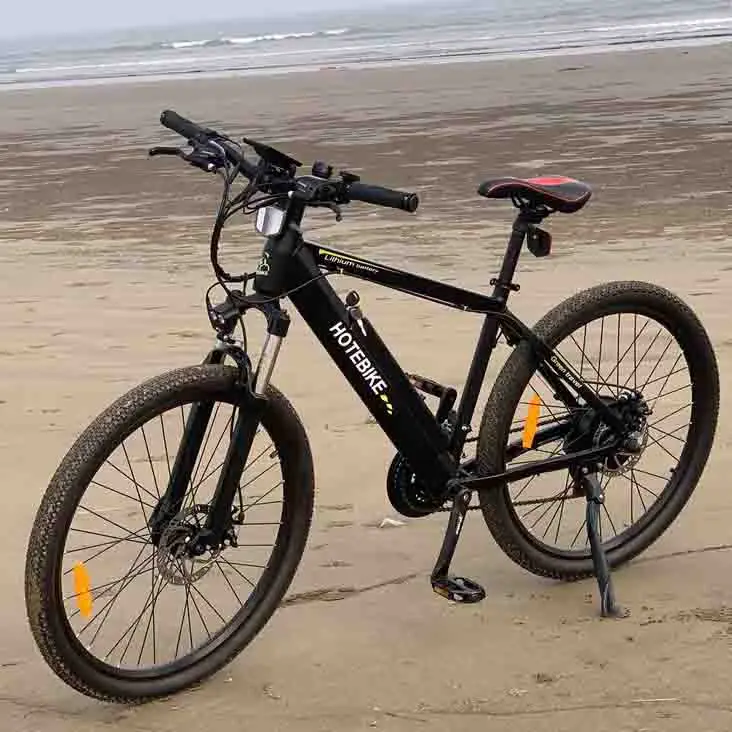Mountain Bike/750w Electric Bike 