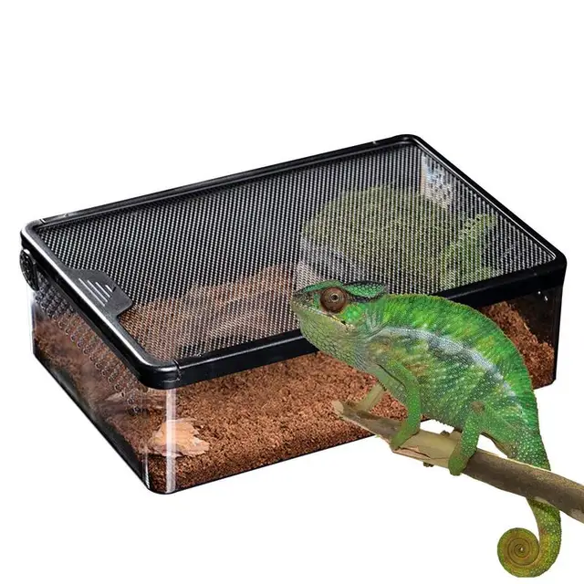 Transparent Reptile Terrarium - Ventilated Feeding & Breeding Box with Escape-Proof Lock, PC Material for Lizard/Scorpion/Spider