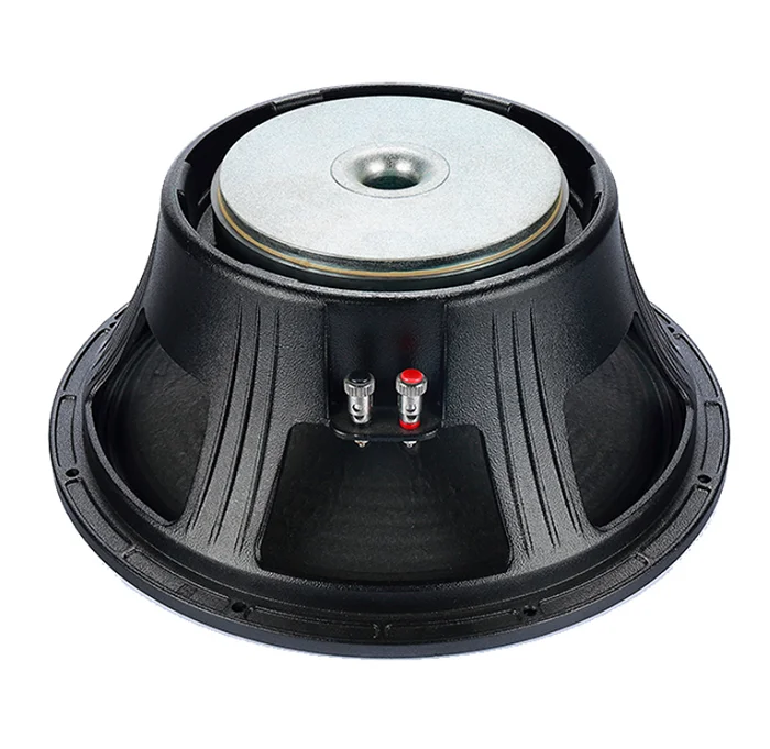 15 Inch Acoustic Professional Stage Audio