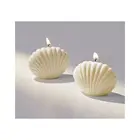 Candles SUNFAN Wholesale Fruit Customizable Soy Wax Label Logo Shell Shape Scented Candles