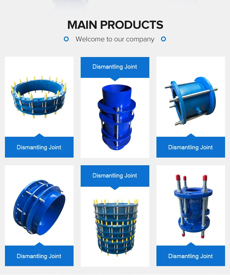 Ansi Di Flange For Pipe Dn Cc F Double Flange Dismantling Joint