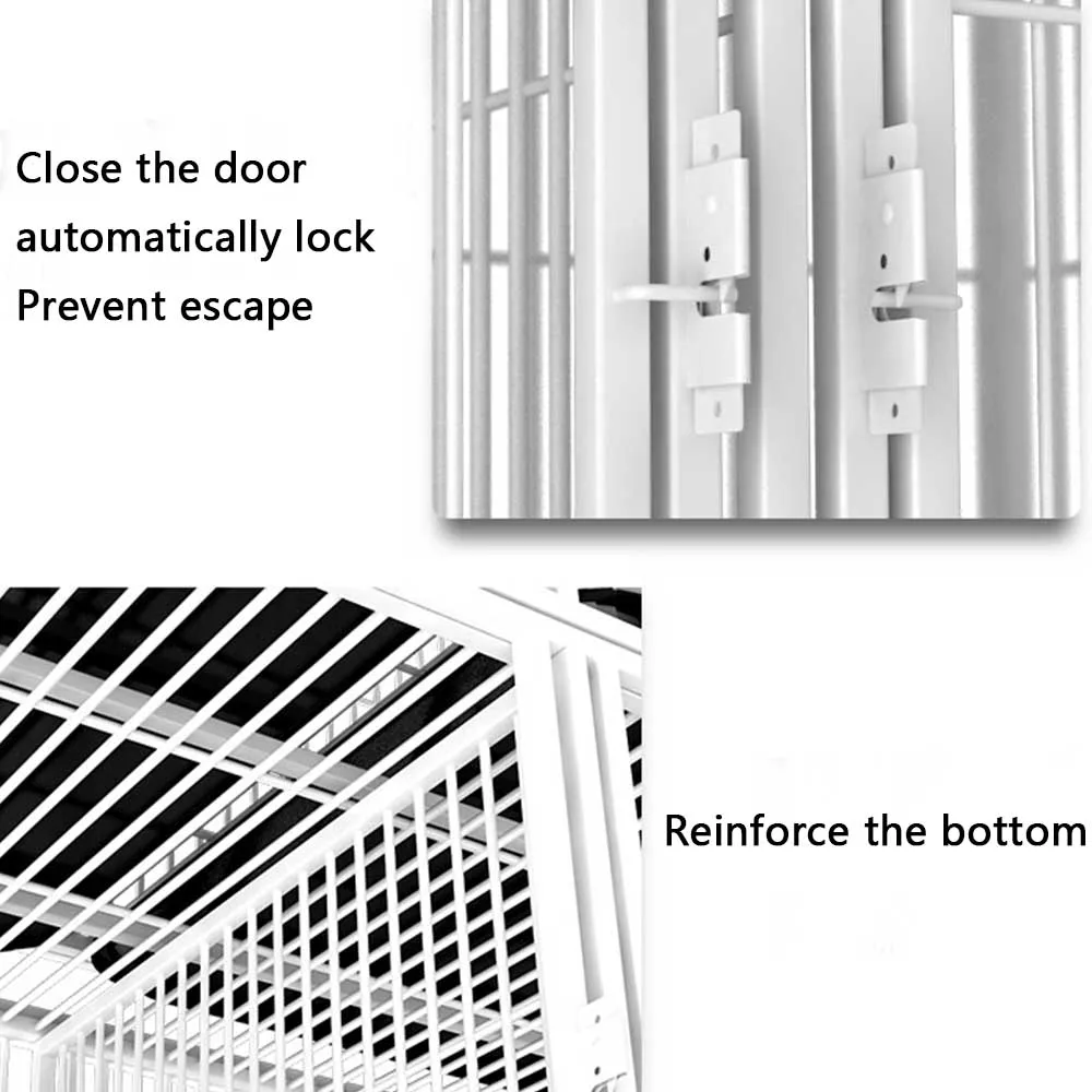Safe and reliable door lock of galvanized square tube cat cage