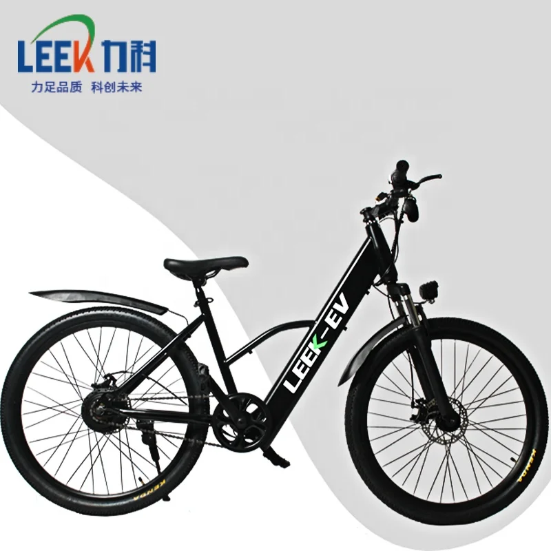 electric bicycle.jpg