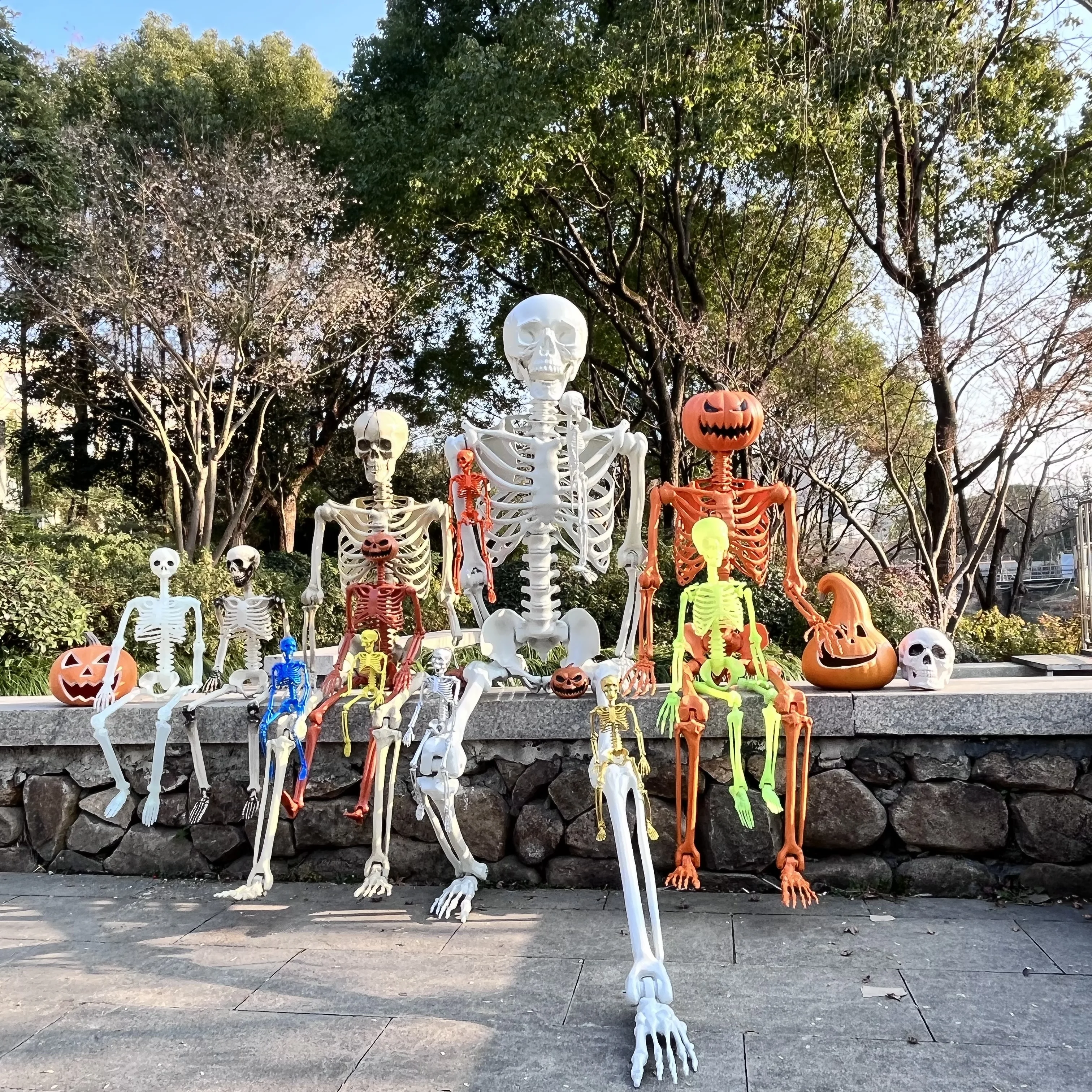 Halloween Prop Pose-N-Stay Realistic Indoor&Outdoor Accessories Human Halloween Skeletons For Holidays Decoration