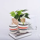 Plant Size High Quality Flowers Pot Wholesale Plant High Quality Flowers Medium Size Ceramic Minimalist Flower Pot