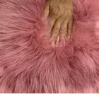 Fur Imitation Sheepskinfur High Quality Faux Wool Floor Mat Fur Plush Rugs And Sofa Seat Cushion