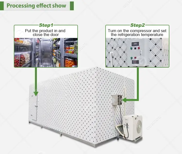 Freezer, 20ft, 220 V - detail 16