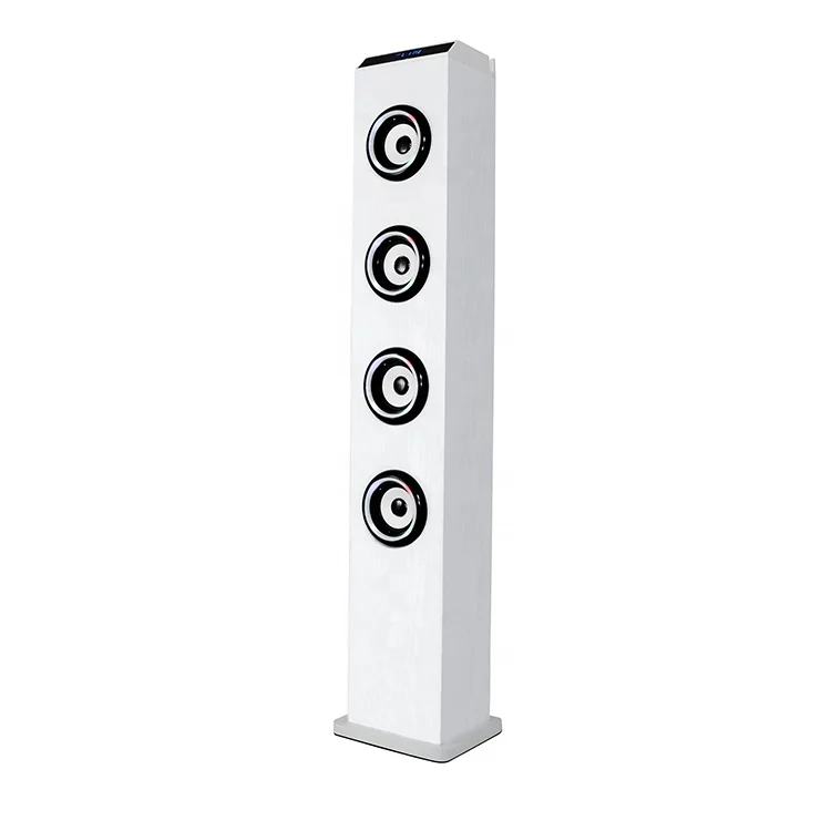 Professional Home Theatre Karaoke 