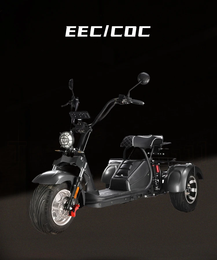 Hot Selling 3 Wheels Electric Scooter Range 60 70km With Two Batteries