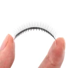 Fans Black Fan LashPlus 2D 3D 4D 5D 6D Premade Fans Pointy Base Individual Matte Black Premade Lash Fan