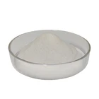 Coconut Powder HALAL Factory Supply Coconut Oil Powder