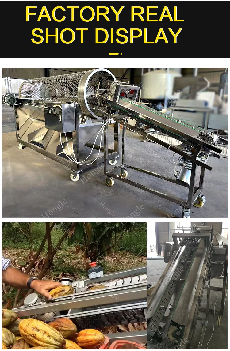 Farm Cocoa Pod Cutter Crusher Machines for Peeling Splitting Breaking Beans Equipment Meat Processing Nuts Fruit Raw Material factory