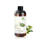 Olive OEM Supplier 500ml Organic Extra Virgin Refined Prices Pure Olive Oil Bulk