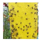 Wholesale Adhesive Insecticidal Bug Catcher Of Sticky Insect Traps To Control Pest Like Fly Wasp In Farm