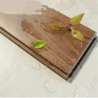 Interlock Interlock Click 4mm 5mm 6mm Spc Rigid Flooring 5mm/0.5 Waterproof Click Installation Kit